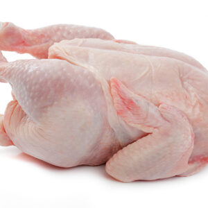 Broiler Chicken